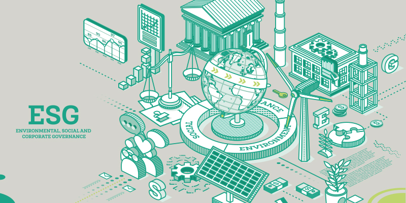 ESG Strategy & Implementation