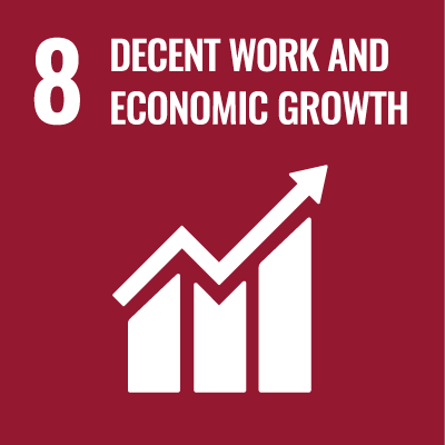 Sustainable Development Goal 08
