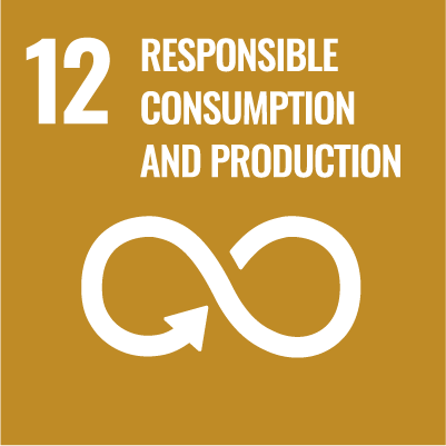 Sustainable Development Goal 12